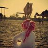 العقيـد