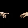 sb_fingerboard0