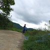 dittsped24