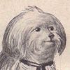 benji800087