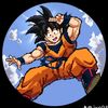 gokux_x456