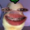 seang.lisa