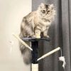 _milc7