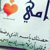 user285810024