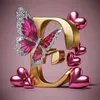 leyla53423