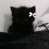 15he1meqw
