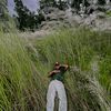 prashantrawat005