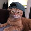 jkjkmeowmeow