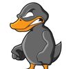 grayduck04