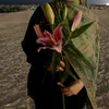 manar.el25