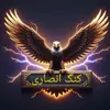 ansari008533