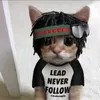 nopocat