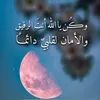 user2196977326133