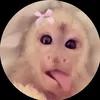 eviepickle
