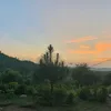 kashmiriii95