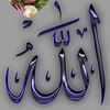 user6516590826217