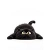 Meow House Cat
