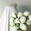 arnoba8113