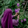queenlima240