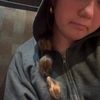 lexi.loves.pickles67