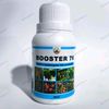 Perboosteran Asli