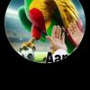 yalocuye.boubacar