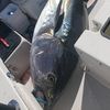 get.bent.fishing5