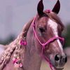 j_kinn111