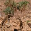 hicham.hicham0544