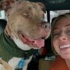 Rescue Wags Haven