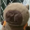 gabrieldeoliveira273