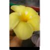ghinak5678