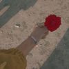 hamid_khan_101