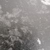 bober_621