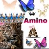 aaminoqaasim5