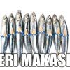 i.k.umam12923