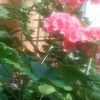 user8817709513959