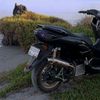 shandyhermansya