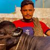 wais6055rana