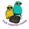 tb.forpus.farm2