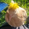 valami.teljesen.r