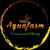 shrimp_aquafarm.id