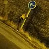 lera827629.97
