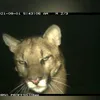 jonathanmontoyarendon
