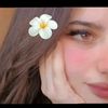 shahed2232