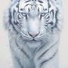 latasha.charles