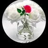 regai_bahasht90