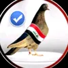 user7567491810153
