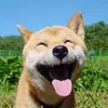nguyennamm_9x