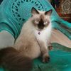 mochamad.jamil5